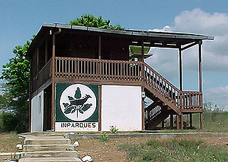 FOTO2.jpg (87367 bytes)